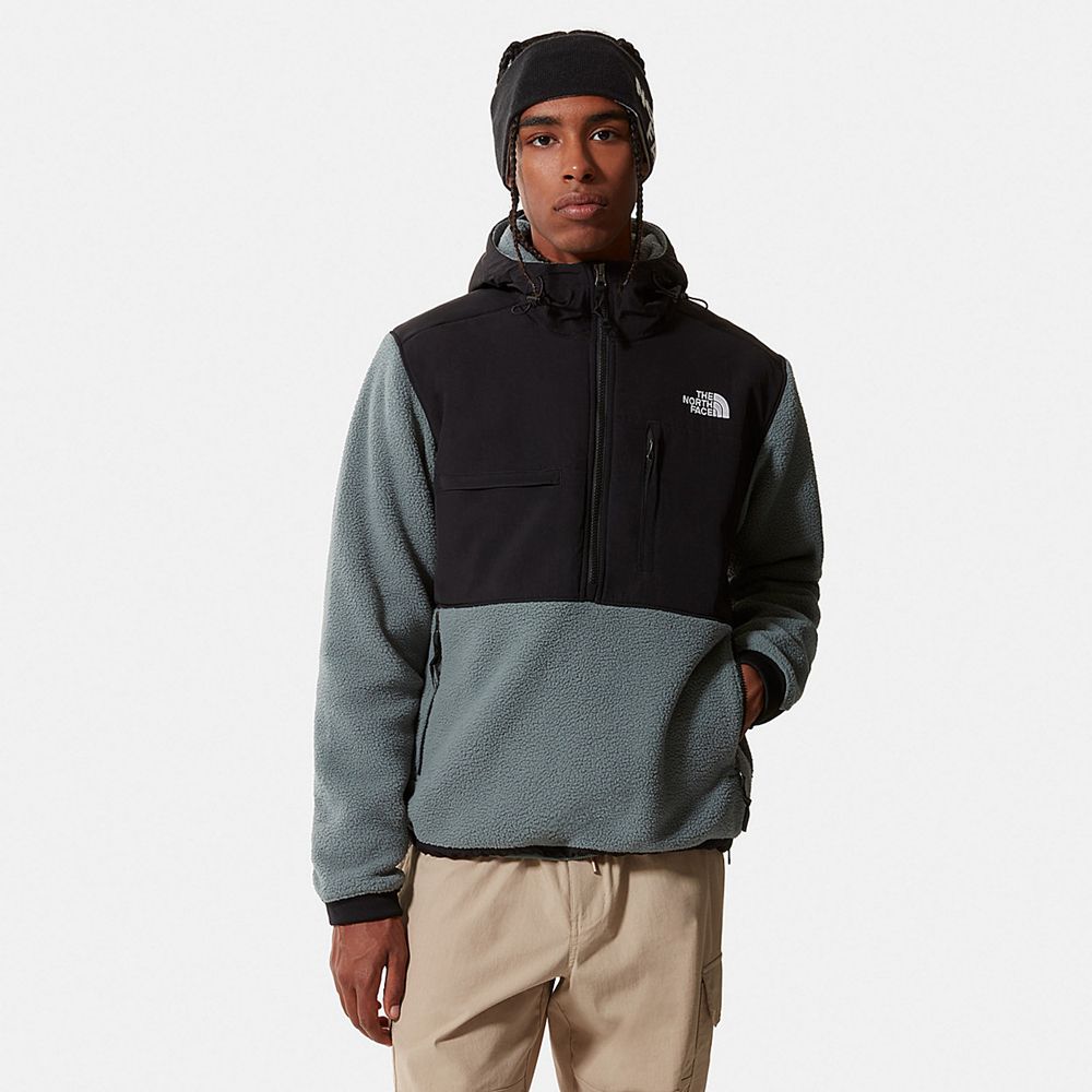 The North Face Fleece Mens Australia - The North Face Denali 2 Anorak Green (KBU-169238)